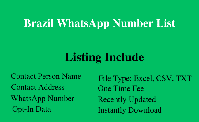 Brazil whatsapp number list