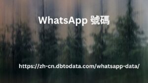 WhatsApp 號碼